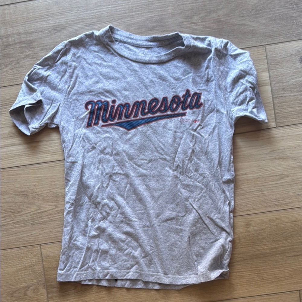 Minnesota MLB Graphic Tee - Gray
